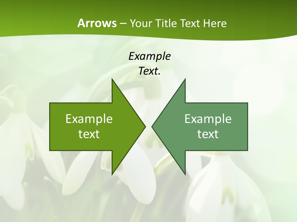 Background Holiday Season PowerPoint Template