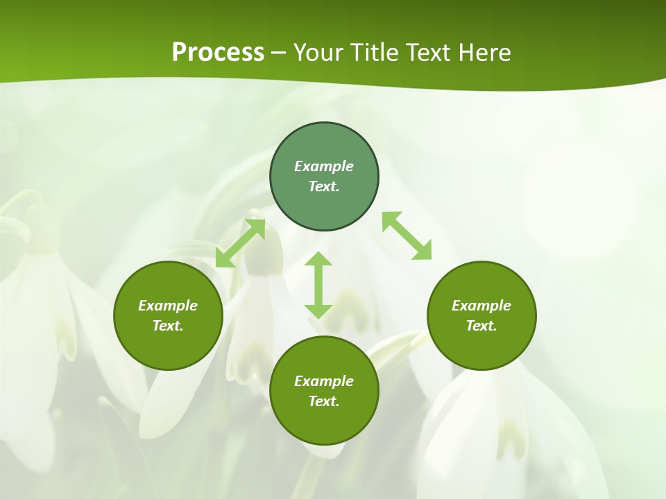 Background Holiday Season PowerPoint Template