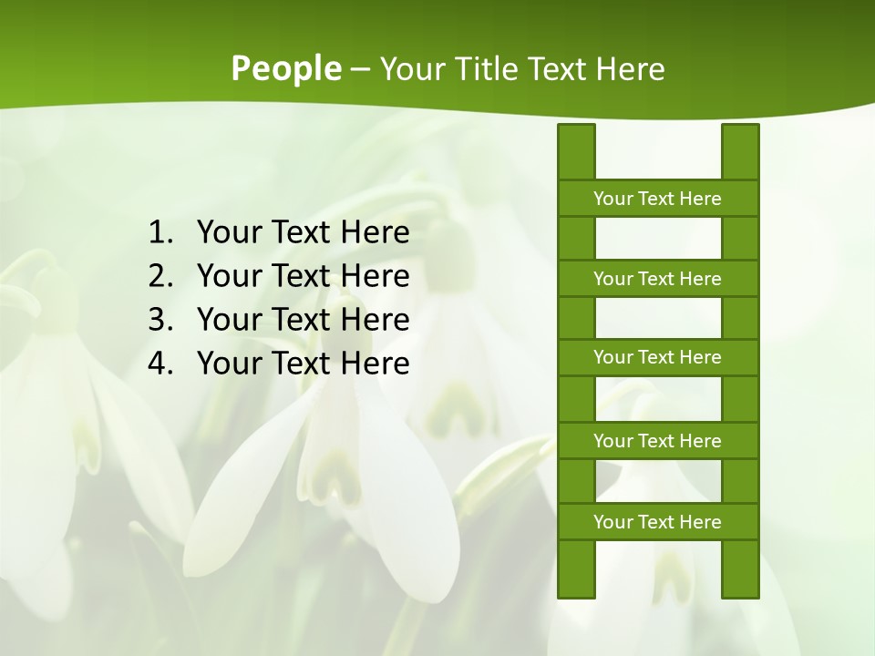 Background Holiday Season PowerPoint Template