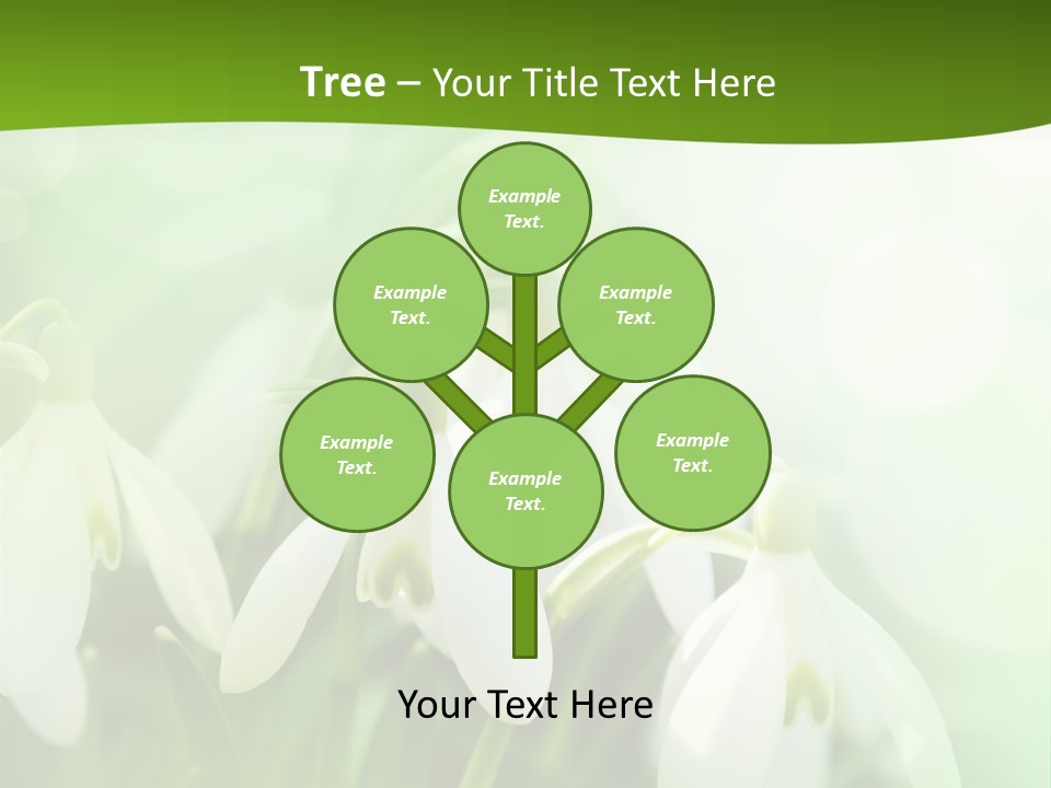 Background Holiday Season PowerPoint Template