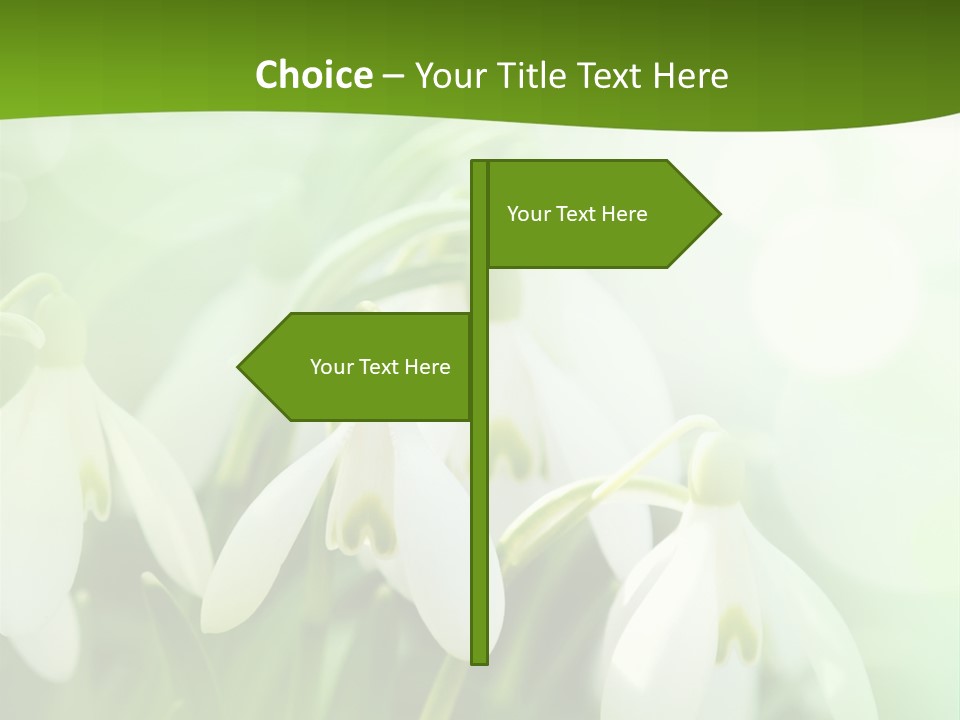 Background Holiday Season PowerPoint Template