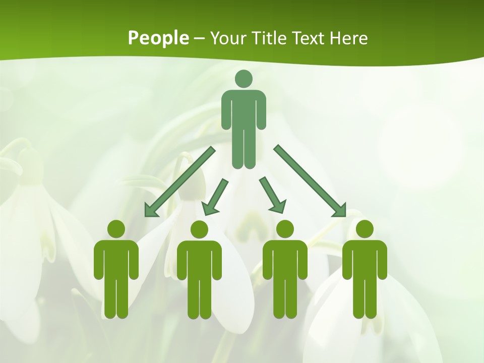 Background Holiday Season PowerPoint Template