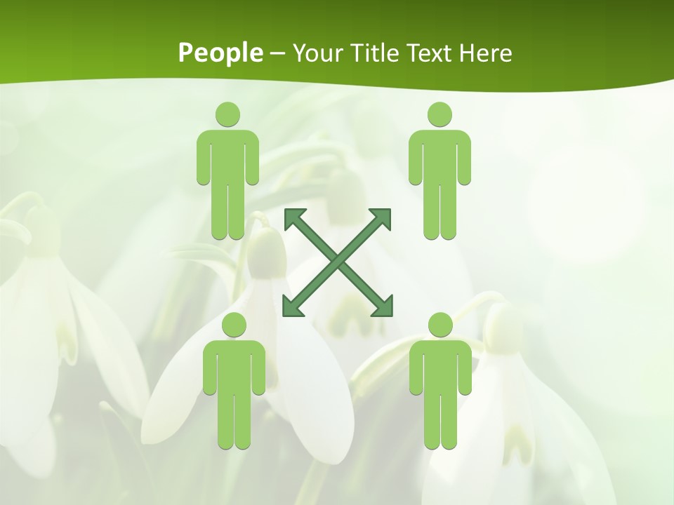 Background Holiday Season PowerPoint Template