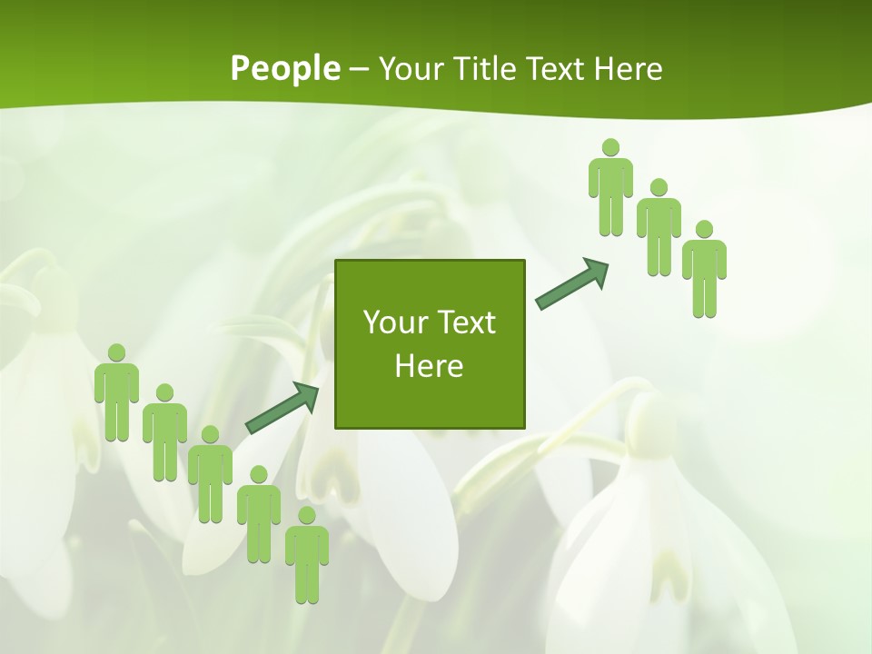 Background Holiday Season PowerPoint Template