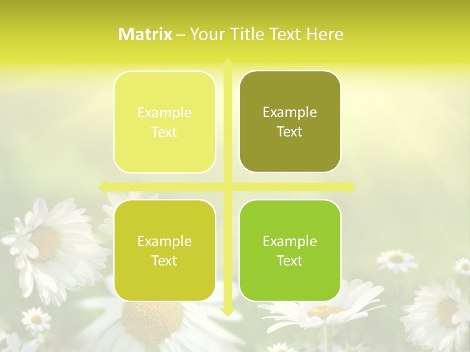 Close Up Medicine Bloom PowerPoint Template