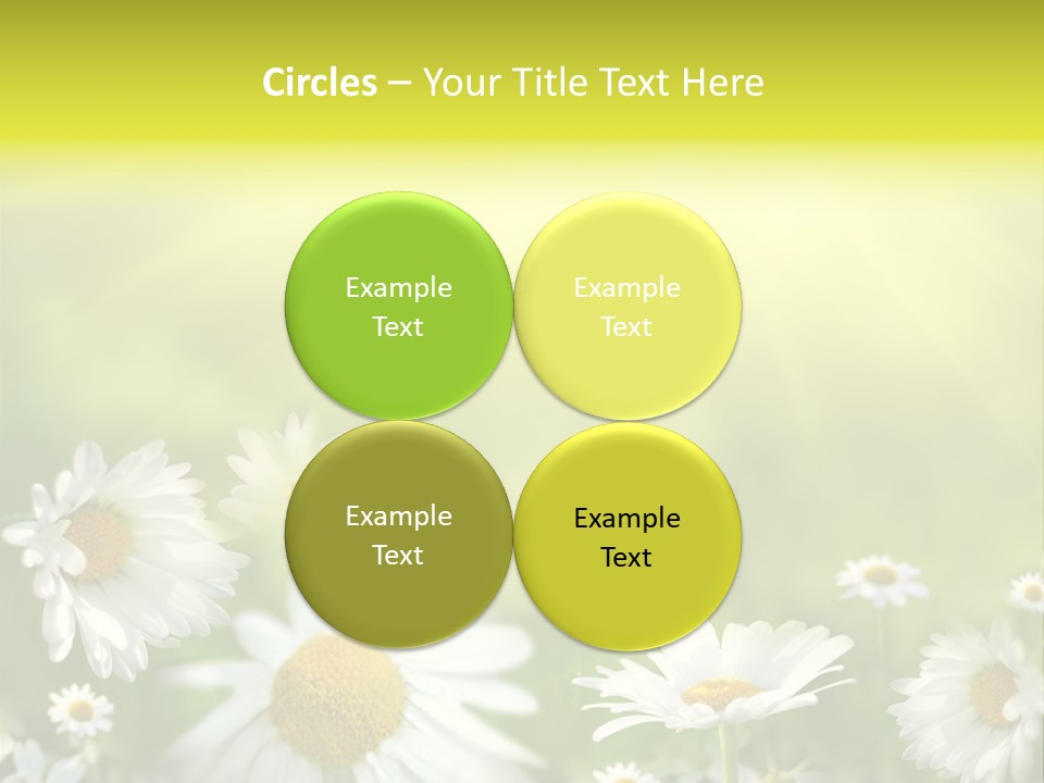 Close Up Medicine Bloom PowerPoint Template