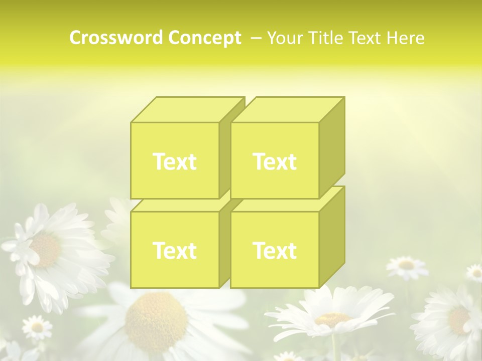 Close Up Medicine Bloom PowerPoint Template