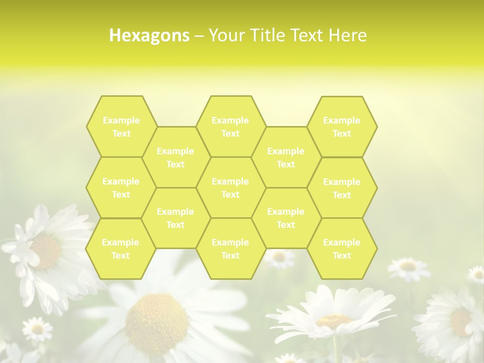 Close Up Medicine Bloom PowerPoint Template