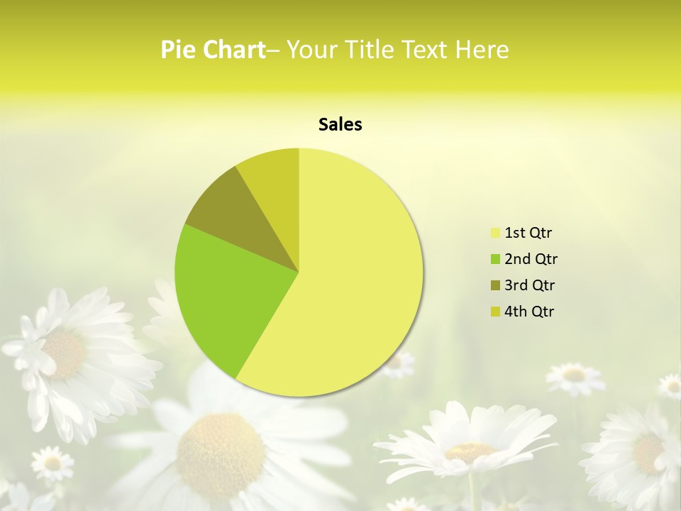Close Up Medicine Bloom PowerPoint Template