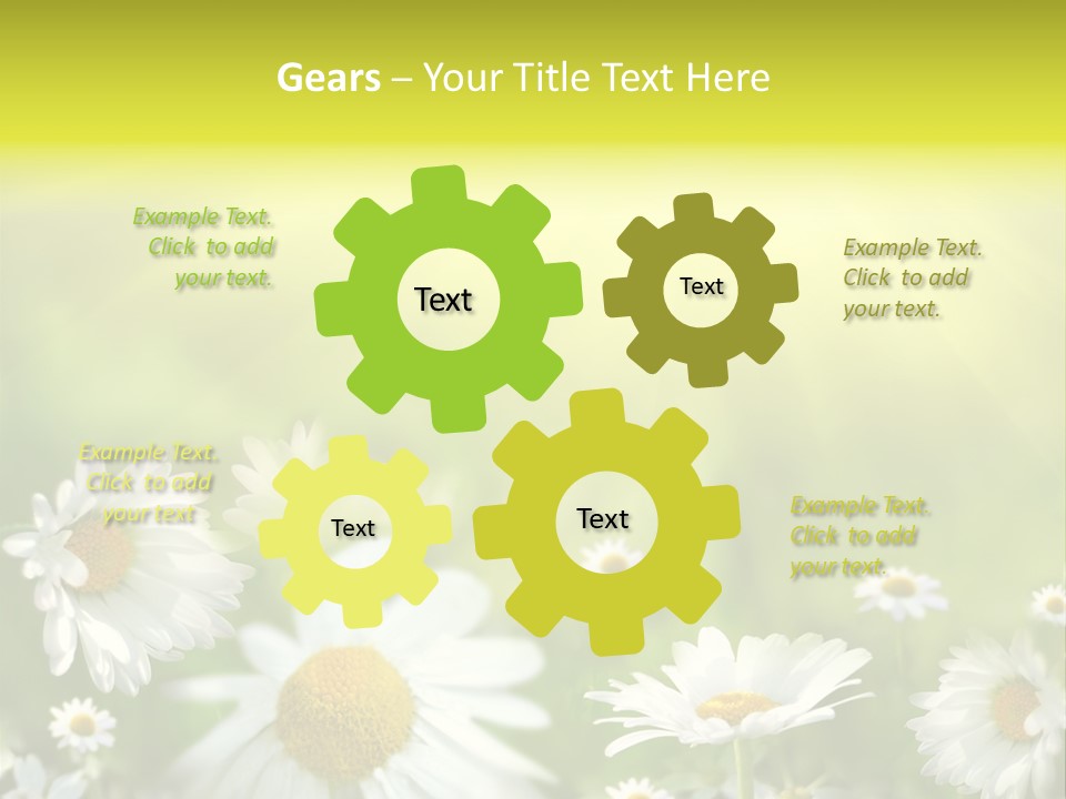 Close Up Medicine Bloom PowerPoint Template
