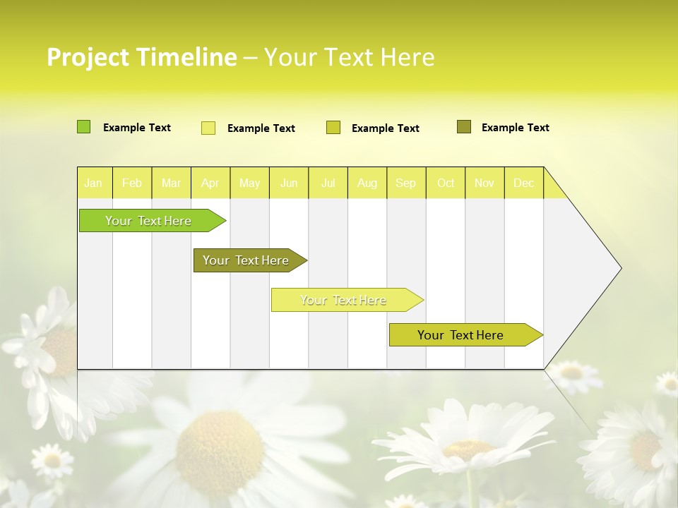 Close Up Medicine Bloom PowerPoint Template