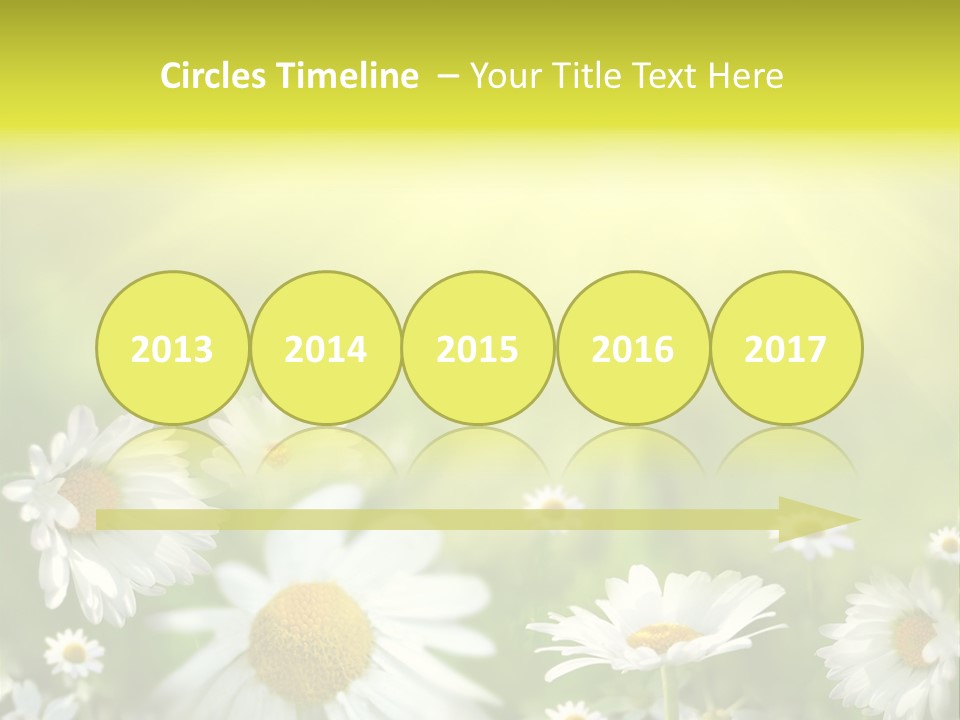 Close Up Medicine Bloom PowerPoint Template