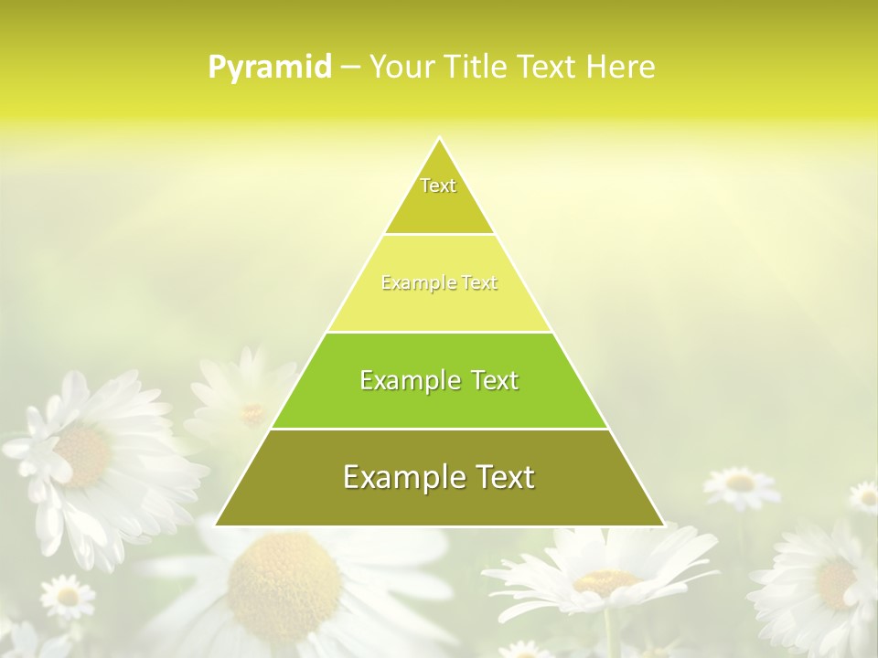 Close Up Medicine Bloom PowerPoint Template