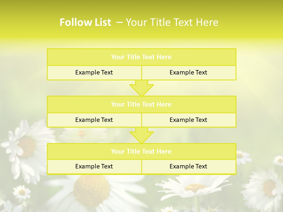 Close Up Medicine Bloom PowerPoint Template
