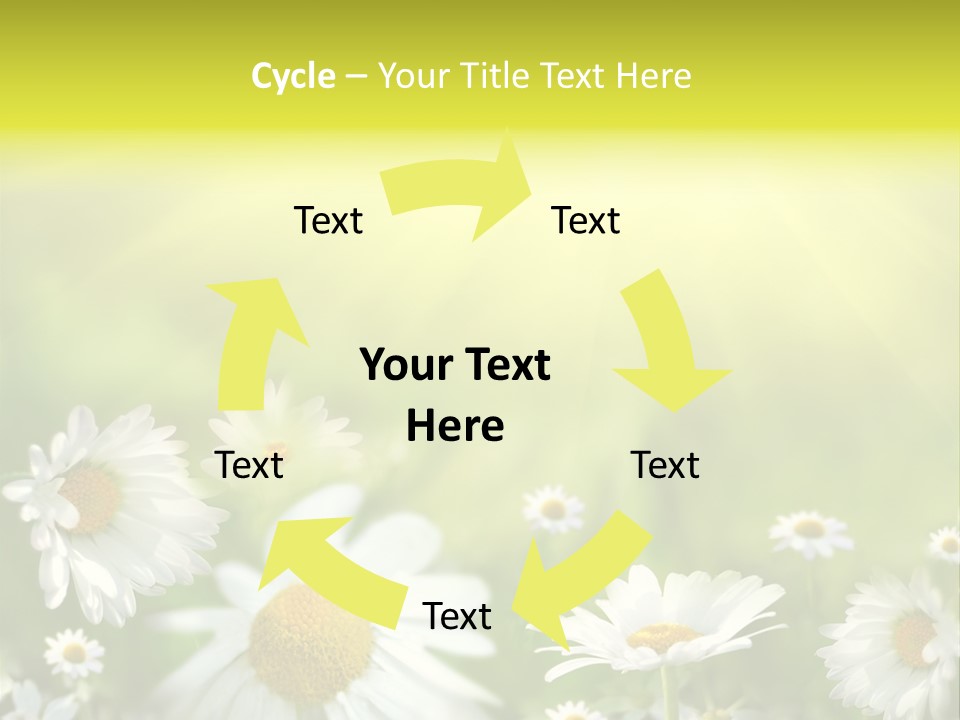 Close Up Medicine Bloom PowerPoint Template