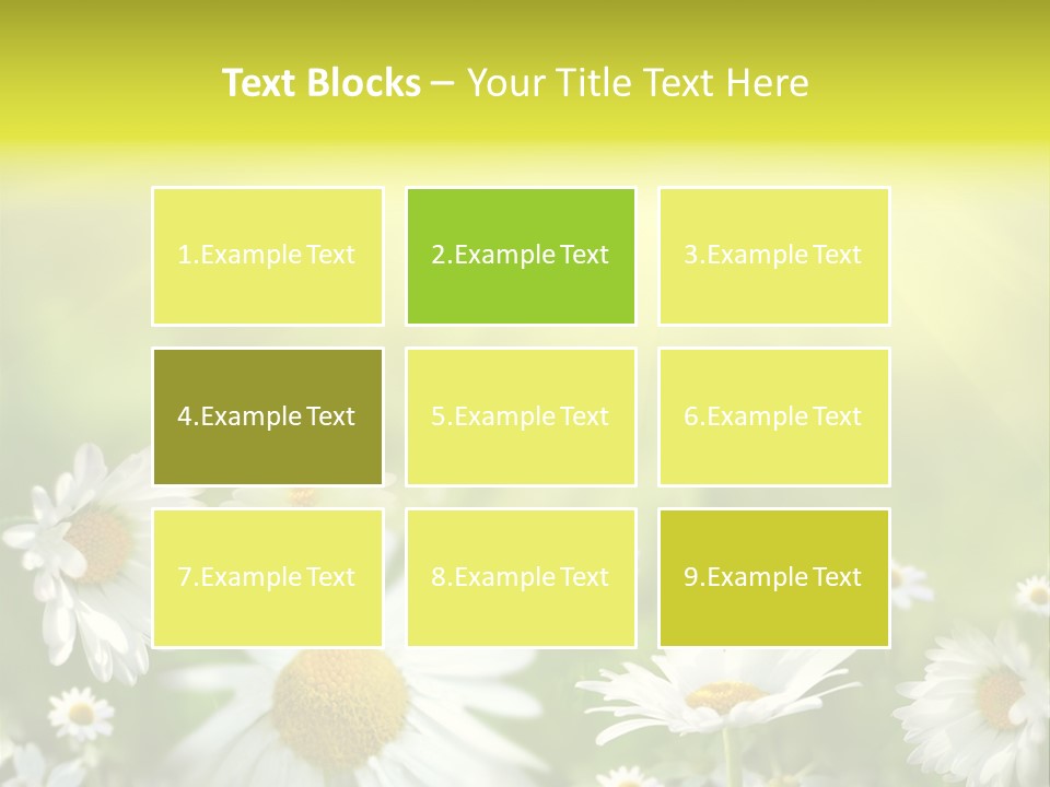 Close Up Medicine Bloom PowerPoint Template