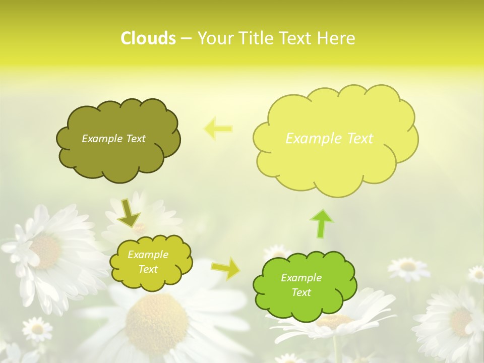Close Up Medicine Bloom PowerPoint Template