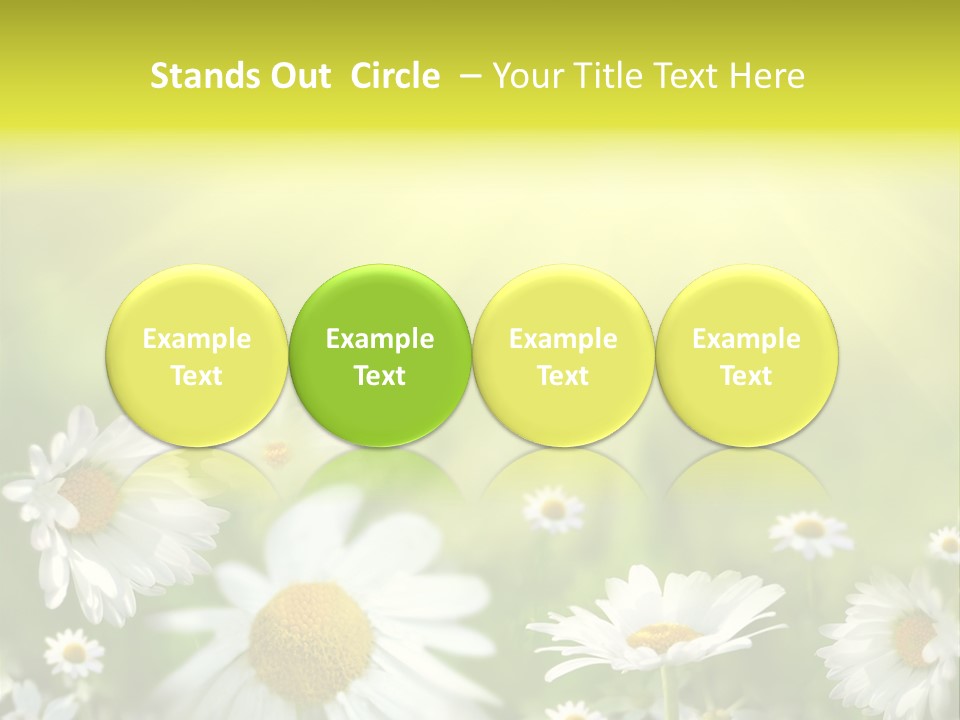 Close Up Medicine Bloom PowerPoint Template
