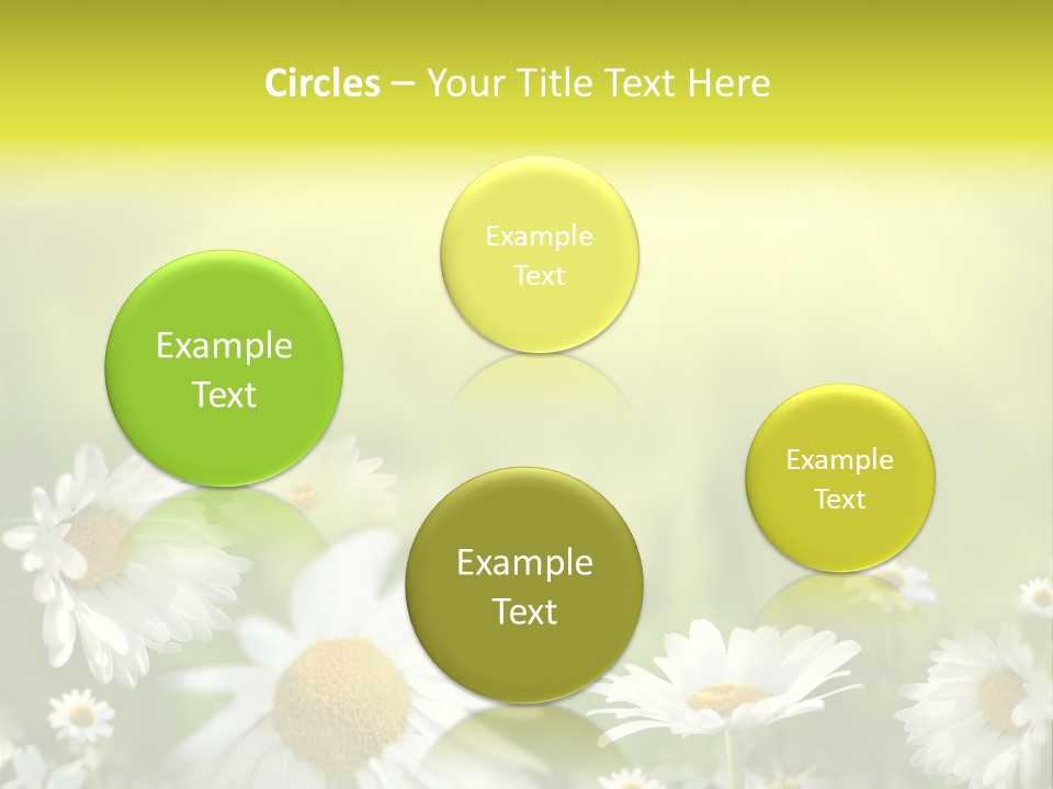Close Up Medicine Bloom PowerPoint Template