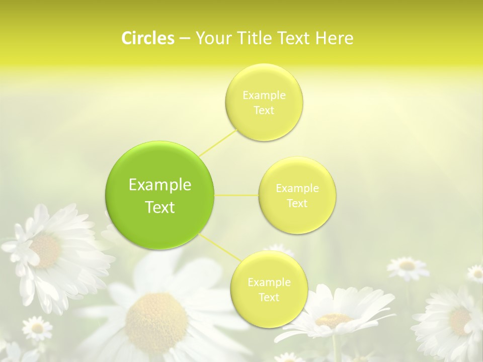 Close Up Medicine Bloom PowerPoint Template