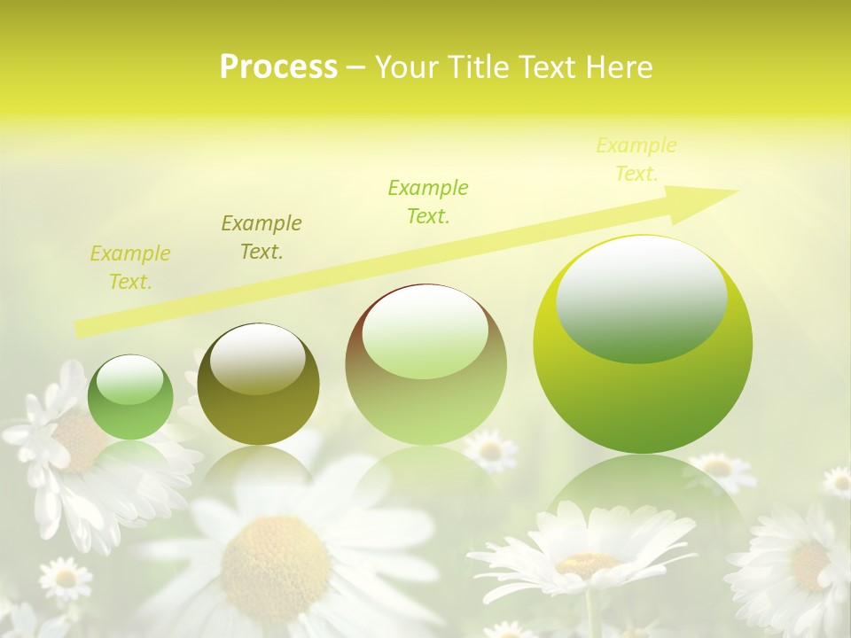 Close Up Medicine Bloom PowerPoint Template