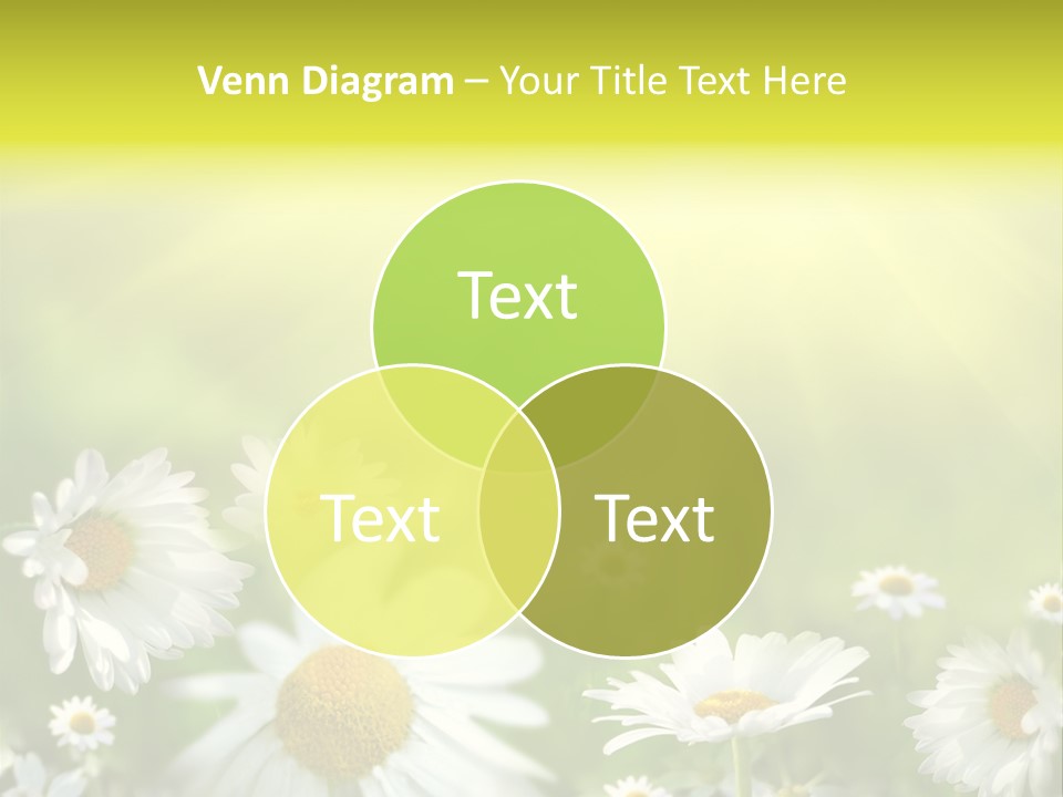 Close Up Medicine Bloom PowerPoint Template