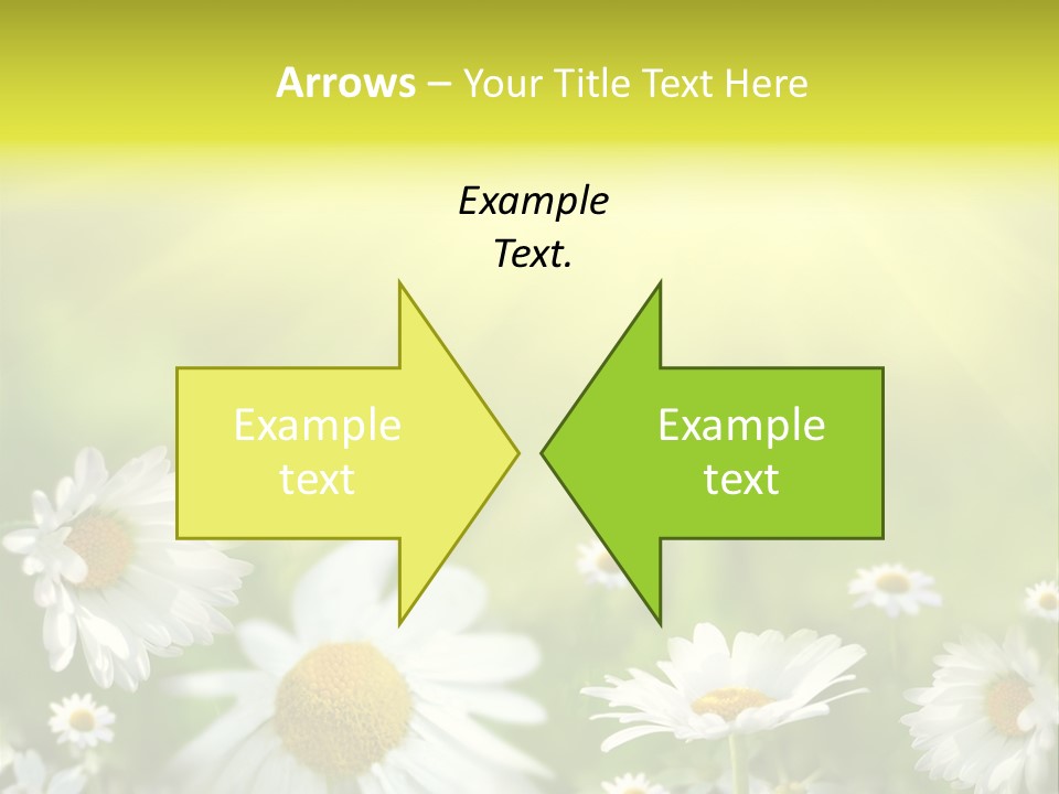 Close Up Medicine Bloom PowerPoint Template