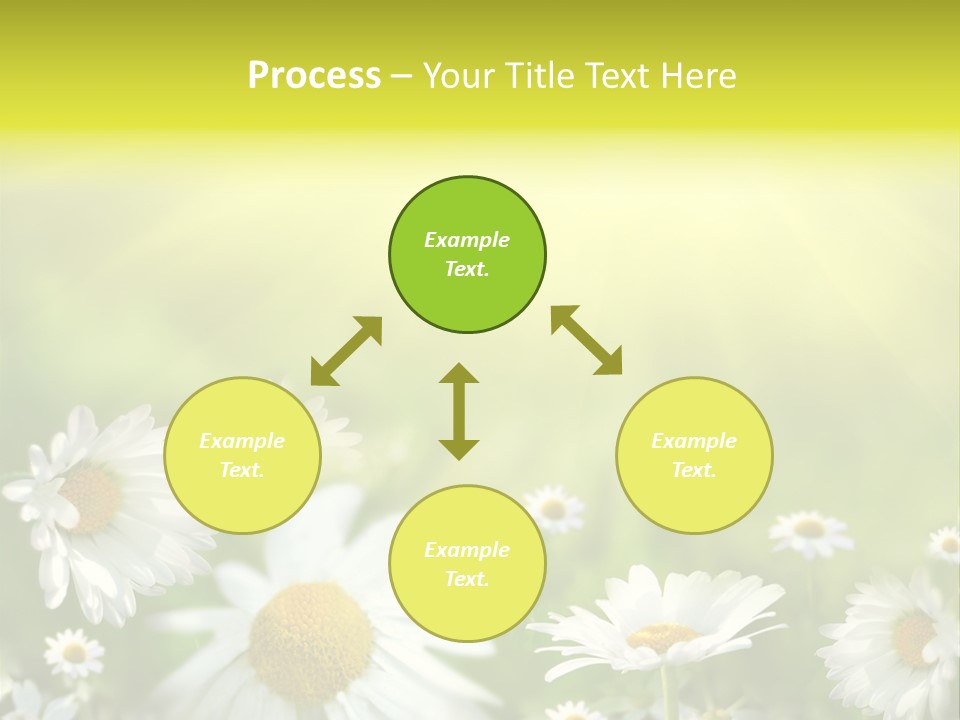 Close Up Medicine Bloom PowerPoint Template