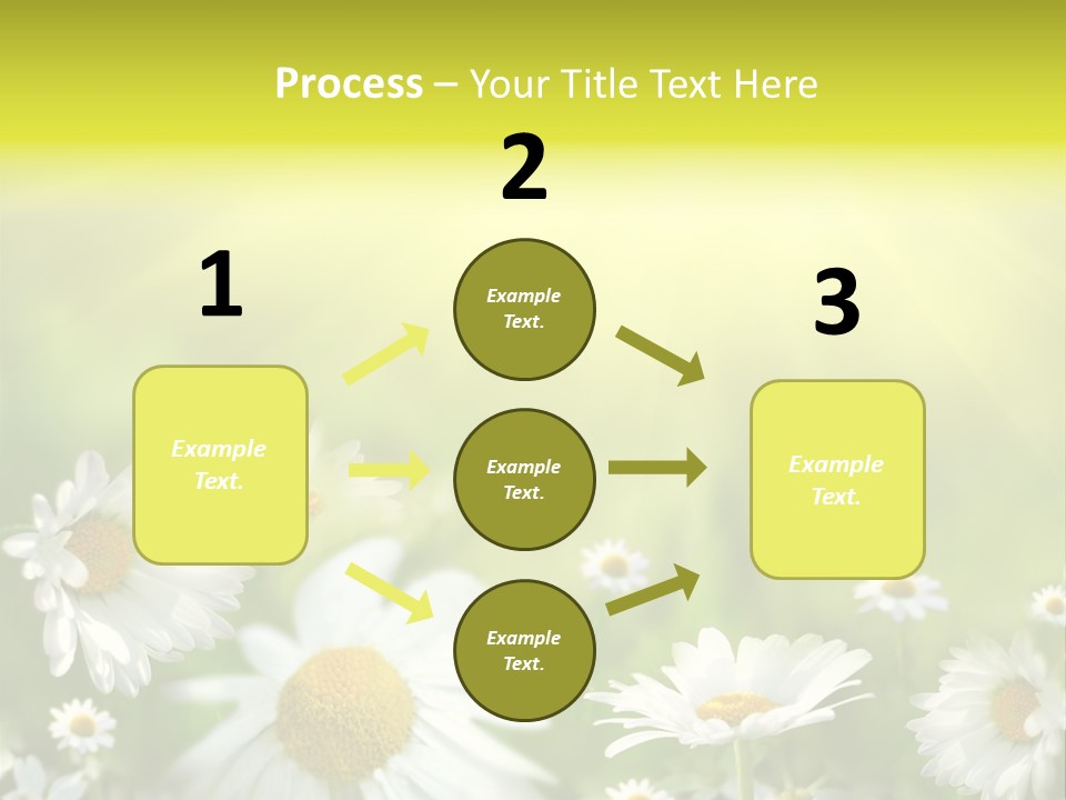 Close Up Medicine Bloom PowerPoint Template