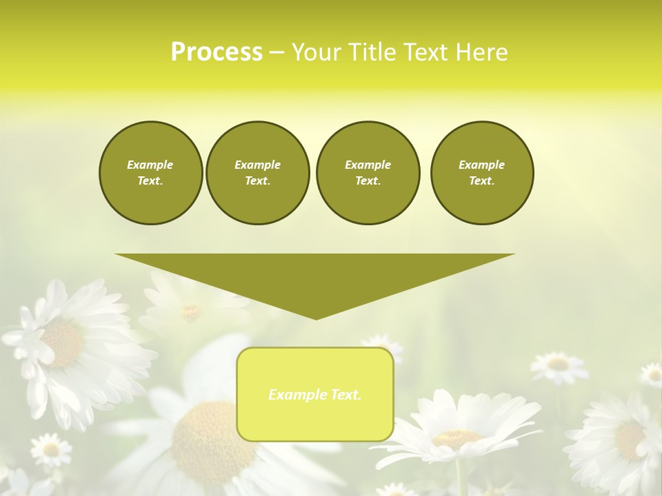 Close Up Medicine Bloom PowerPoint Template