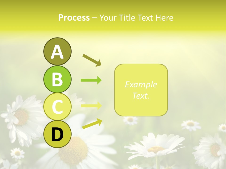 Close Up Medicine Bloom PowerPoint Template