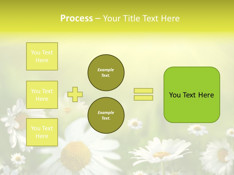 Close Up Medicine Bloom PowerPoint Template