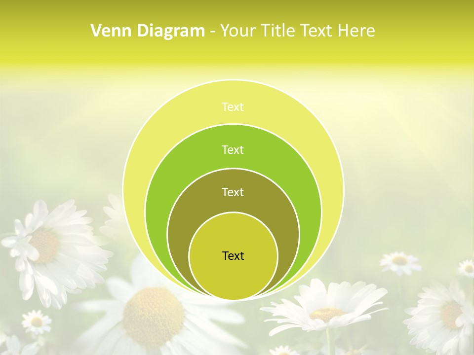 Close Up Medicine Bloom PowerPoint Template
