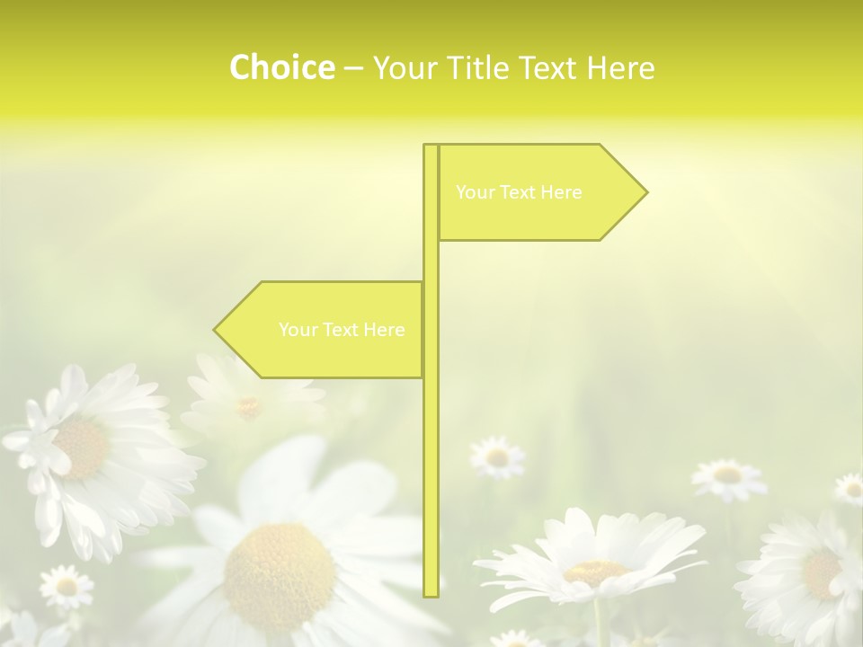 Close Up Medicine Bloom PowerPoint Template