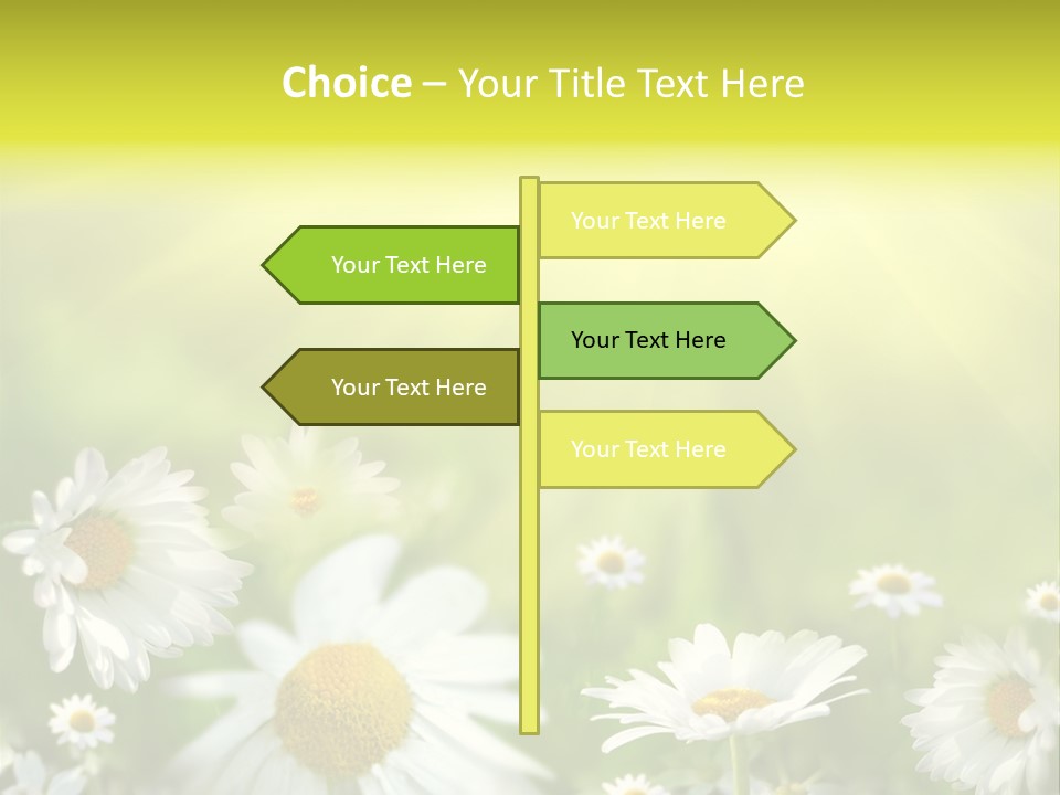 Close Up Medicine Bloom PowerPoint Template
