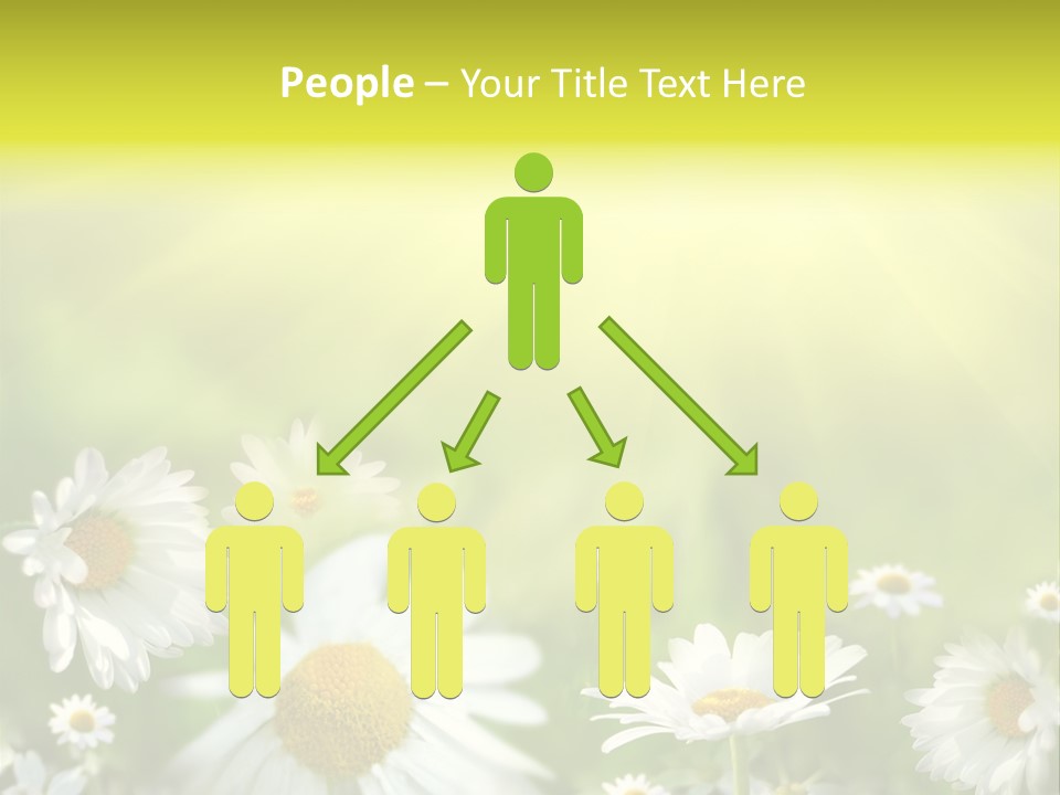 Close Up Medicine Bloom PowerPoint Template