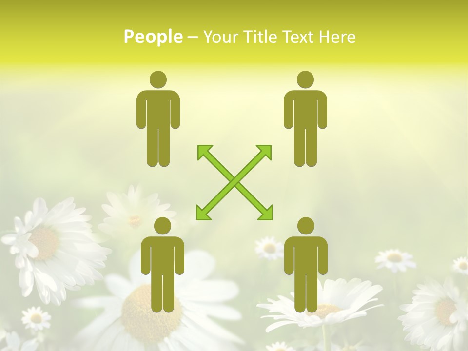 Close Up Medicine Bloom PowerPoint Template