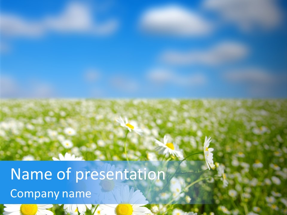 Plant Bright Floral PowerPoint Template