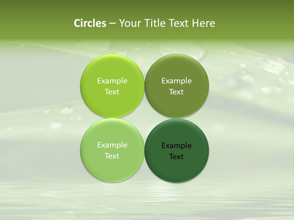 Circle Purity Bright PowerPoint Template
