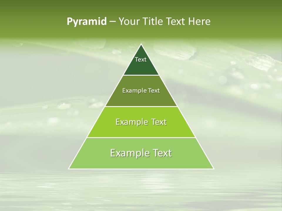 Circle Purity Bright PowerPoint Template