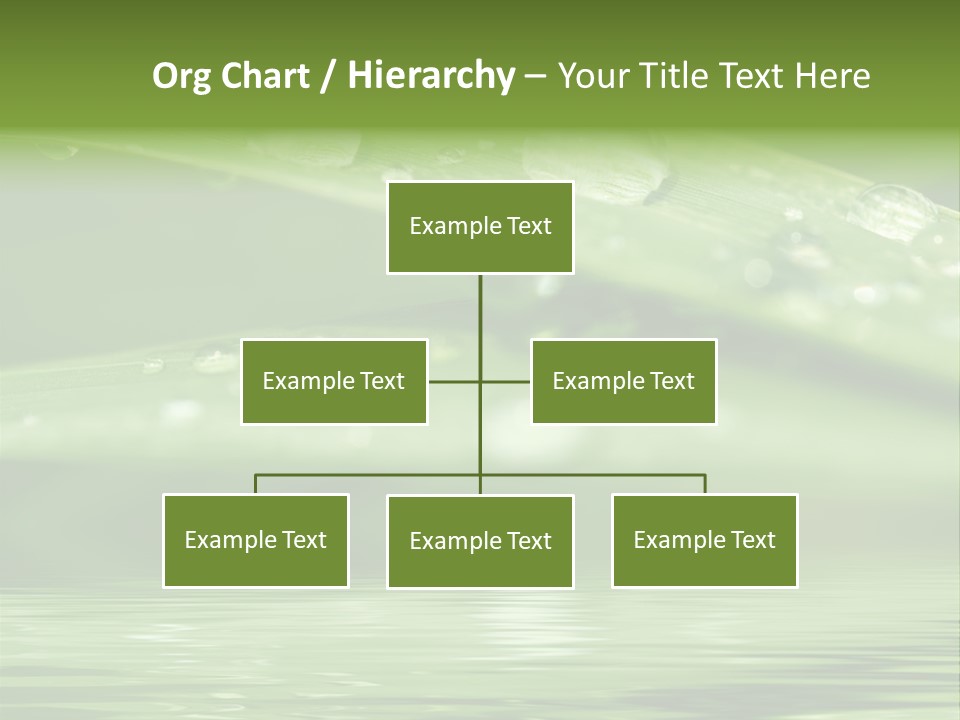 Circle Purity Bright PowerPoint Template