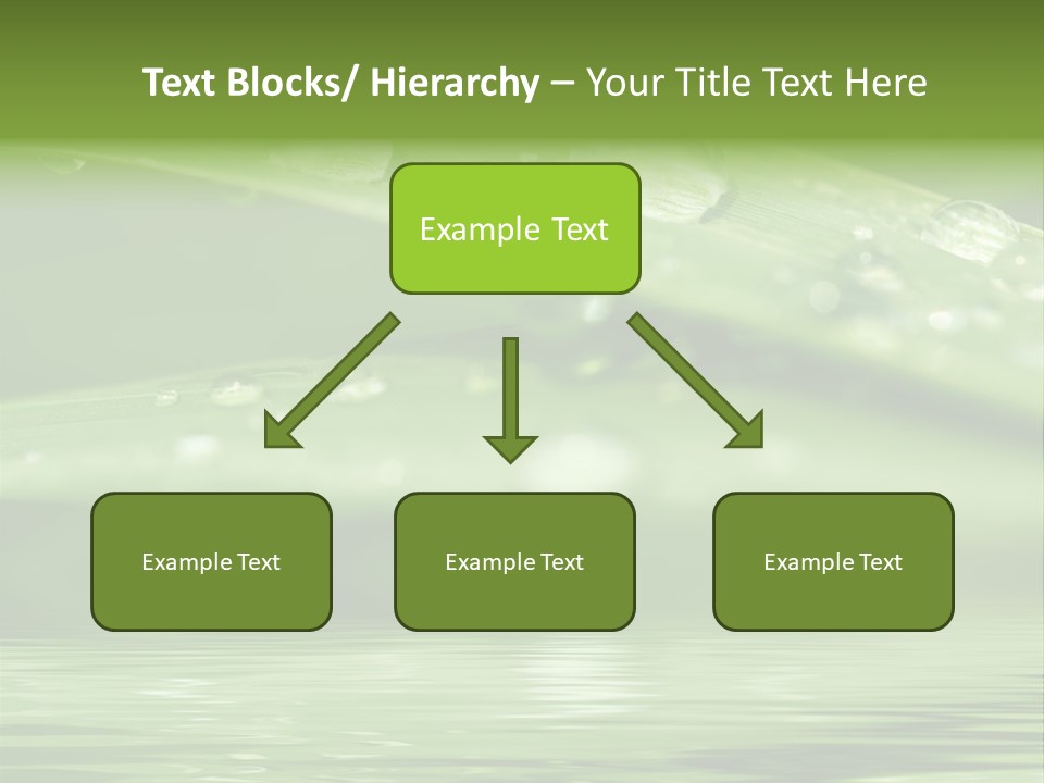 Circle Purity Bright PowerPoint Template