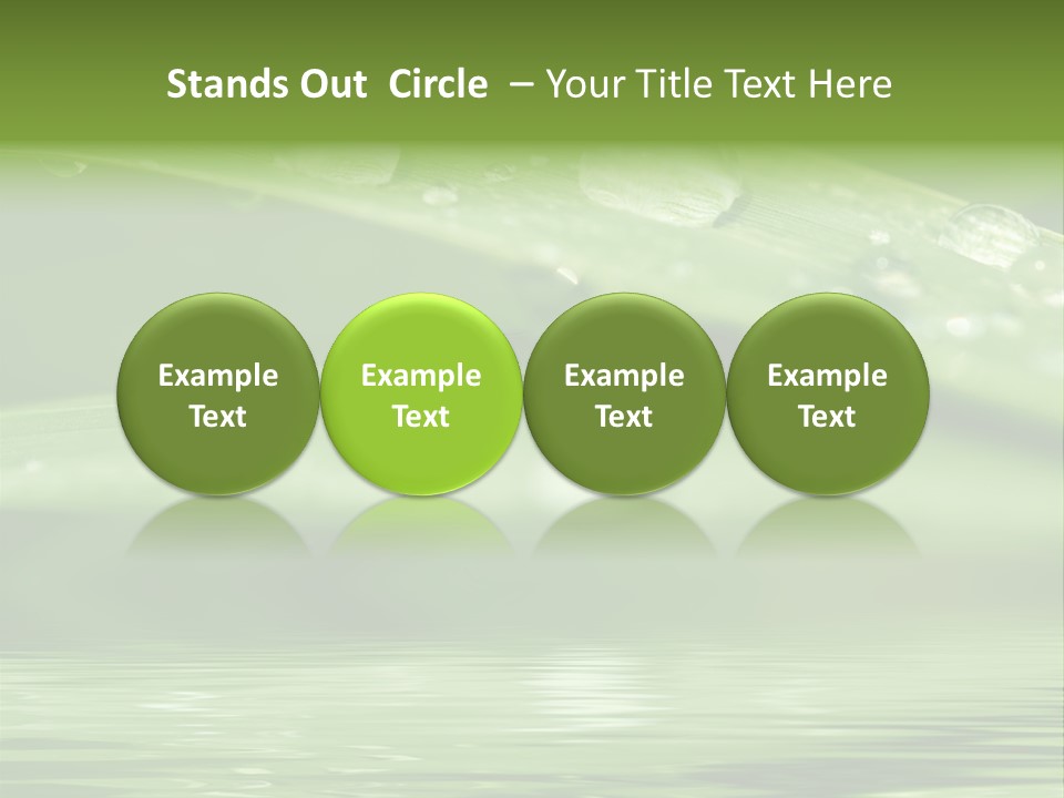 Circle Purity Bright PowerPoint Template