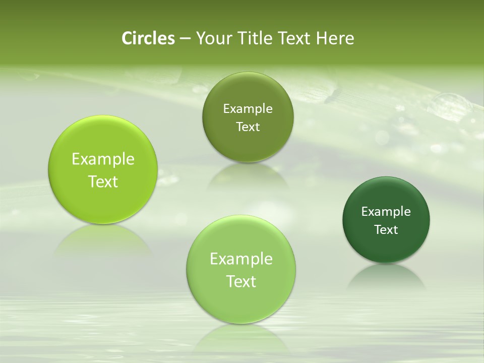 Circle Purity Bright PowerPoint Template