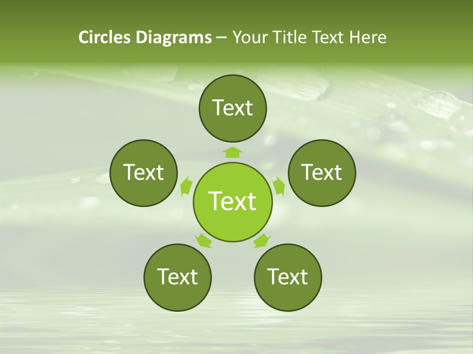 Circle Purity Bright PowerPoint Template