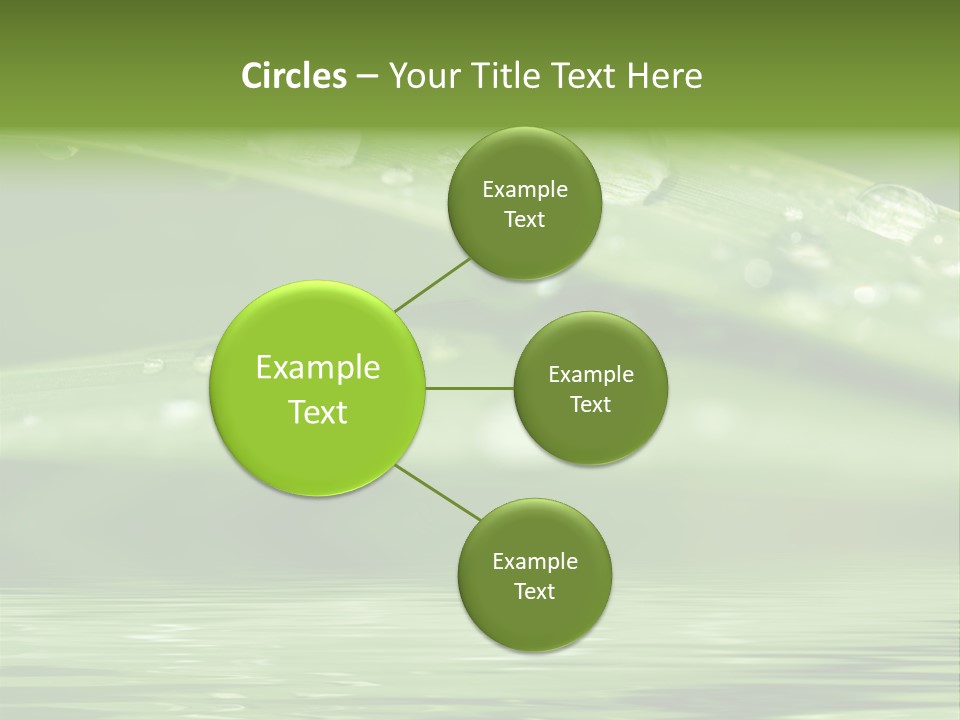 Circle Purity Bright PowerPoint Template