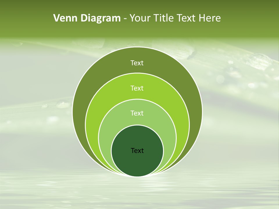 Circle Purity Bright PowerPoint Template