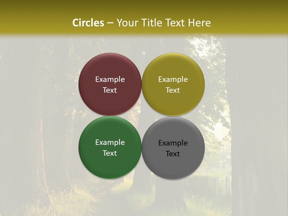Scenic Magic Vivid PowerPoint Template
