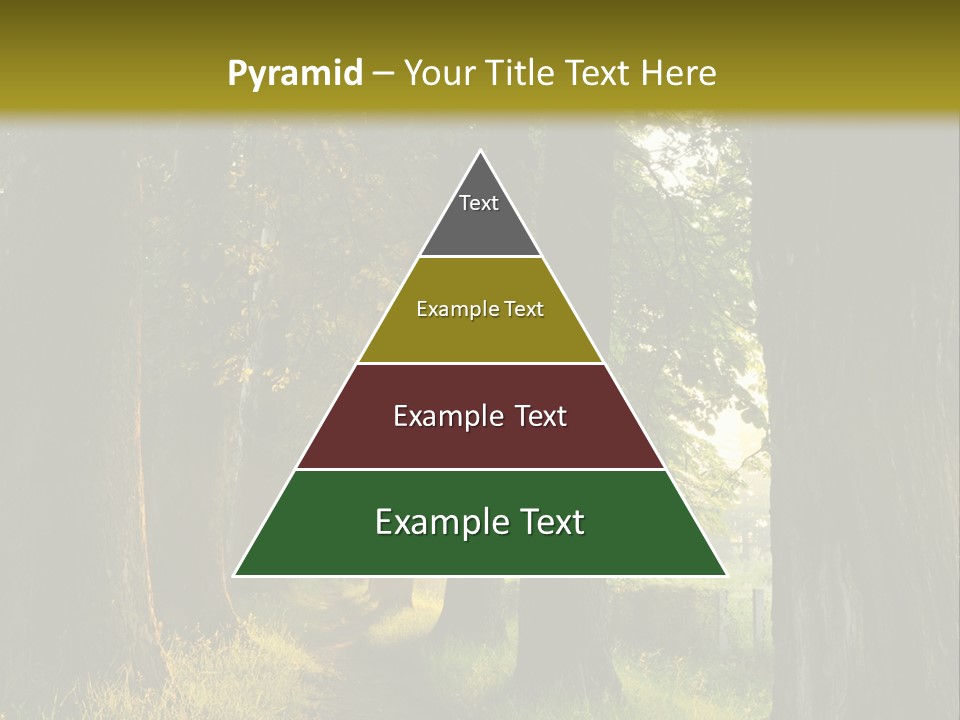 Scenic Magic Vivid PowerPoint Template