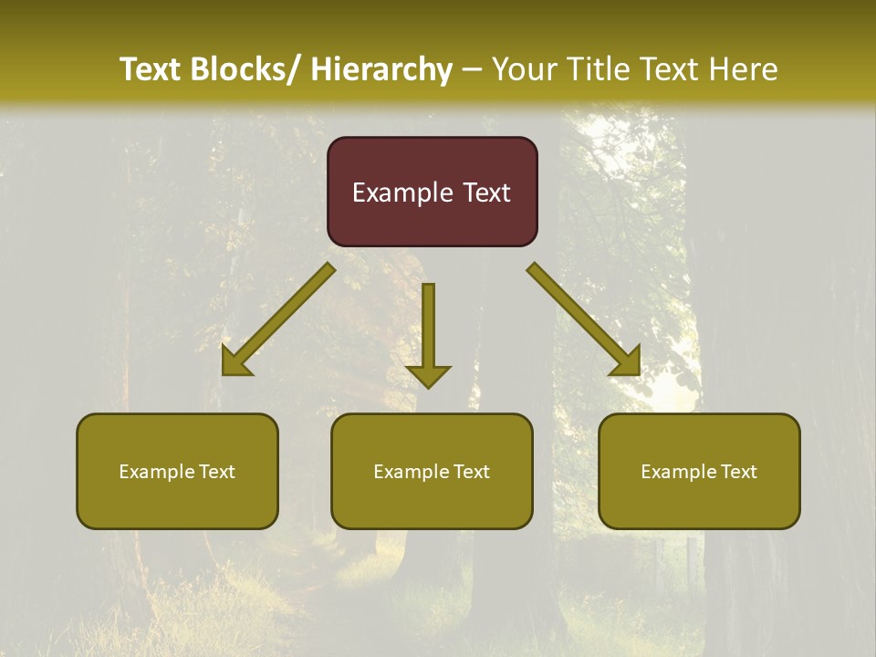 Scenic Magic Vivid PowerPoint Template